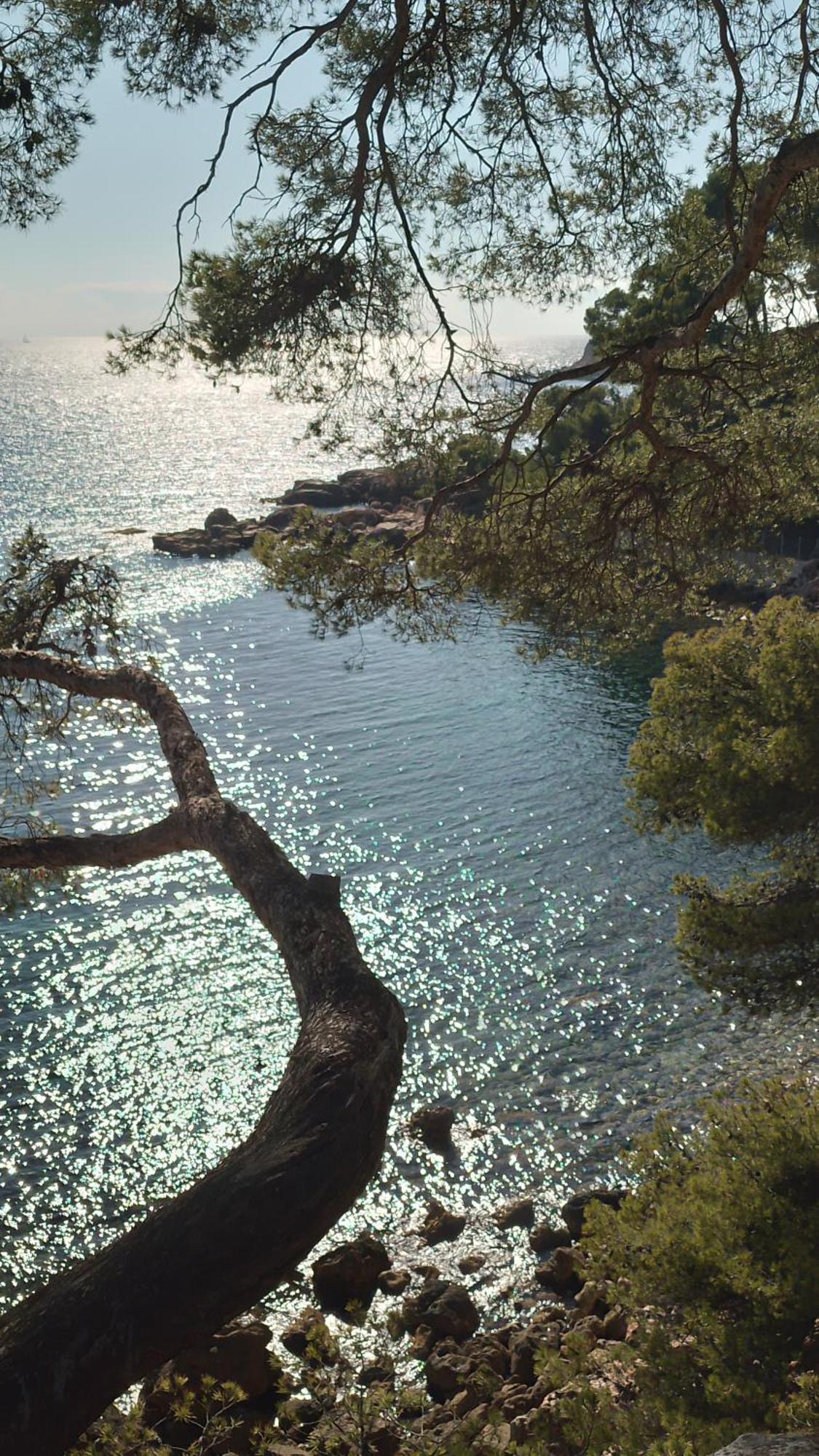 Les Pieds Tanques - Chambres D'Hotes - Calanque A Pieds Сен-Сир-сюр-Мер Экстерьер фото